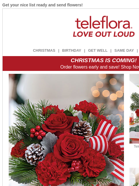 teleflora newsletter: Check Off Your ‘Nice’ List 🎅 $15 Off Bestsellers