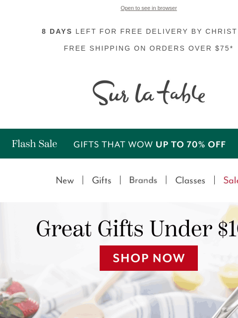 surlatable newsletter: 🎁  not  💸. Top Gift Picks Under $100