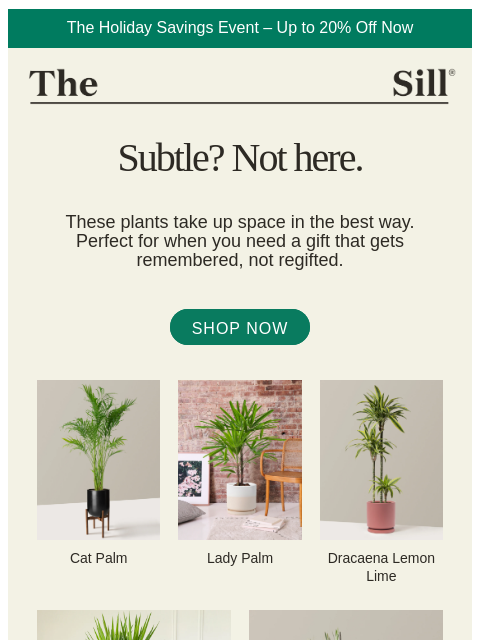 thesill newsletter: For maximalist gifters 🌟
