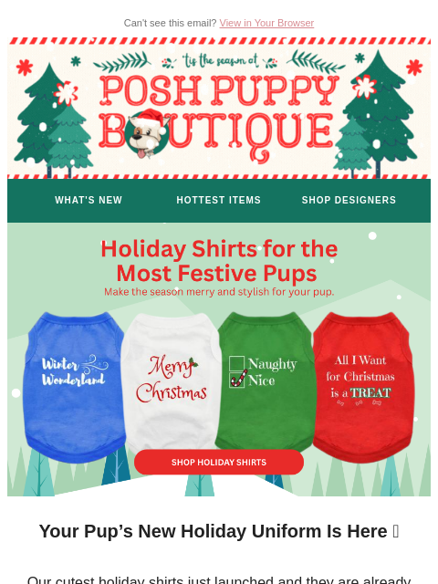 poshpuppyboutique newsletter: New Holiday Tees Just Dropped 🎄✨