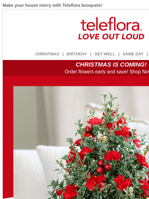 teleflora newsletter: Deck the Holidays + $15 Off 🎄