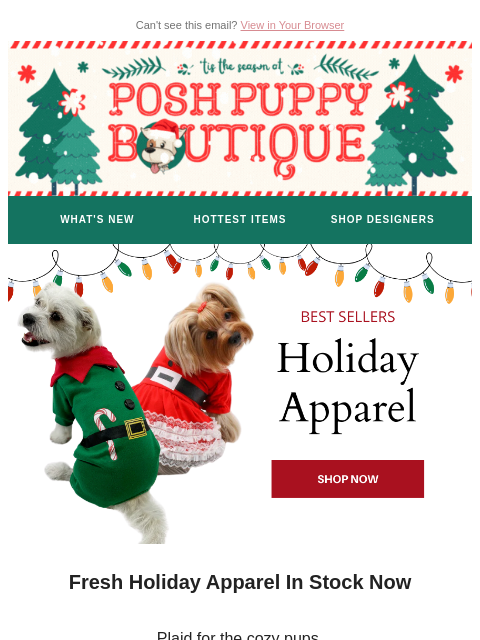poshpuppyboutique newsletter: Holiday Looks That Steal the Spotlight 🎄❤️