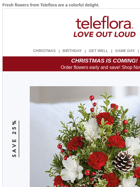 teleflora newsletter: Slay Secret Santa 🎅 25% Off Now