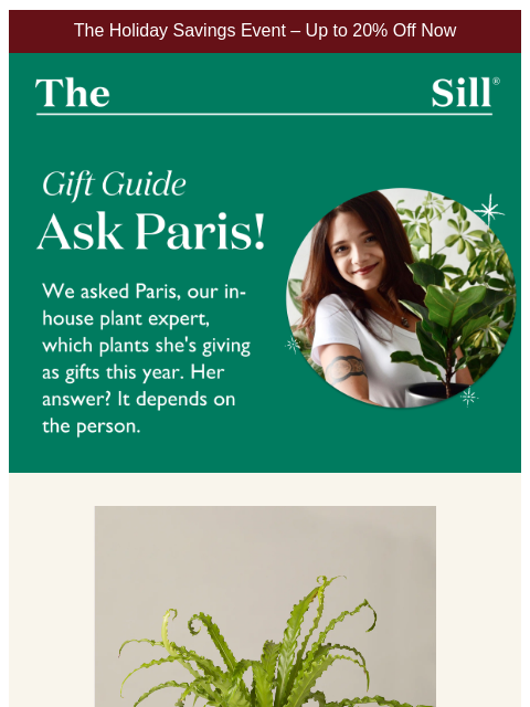 thesill newsletter: What a Plant Expert Actually Gifts