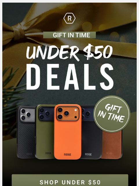 ridge newsletter: Holiday Sale: Under $50 Deals