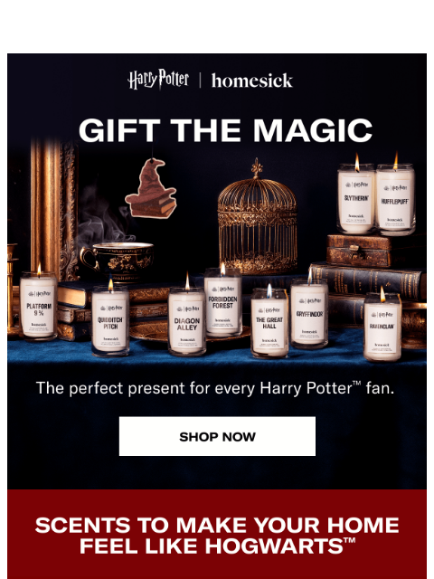 homesick newsletter: The perfect gift for Harry Potter™ fans 🎁