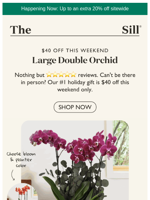 thesill newsletter: $40 Off Our #1 Gift 📦💌