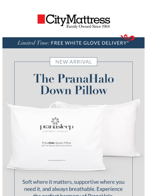 Meet the PranaSleep PranaHalo Down Pillow—your ticket to deeper sleep ͏ ͏ ͏ ͏ ͏ ͏ ͏ ͏ ͏ ͏ ͏ ͏ ͏ ͏ ͏ ͏ ͏ ͏ ͏ ͏ ͏ ͏ ͏ ͏ ͏ ͏ ͏ ͏ ͏ ͏ ͏ ͏ ͏ ͏ ͏ ͏ ͏ ͏ ͏ ͏ ͏ ͏ ͏ ͏ ͏ ͏ ͏ ͏ ͏ ͏ ͏ ͏ ͏ ͏ ͏ ͏ ͏ ͏ ͏ ͏ ͏ ͏ ͏ ͏ ͏ ͏