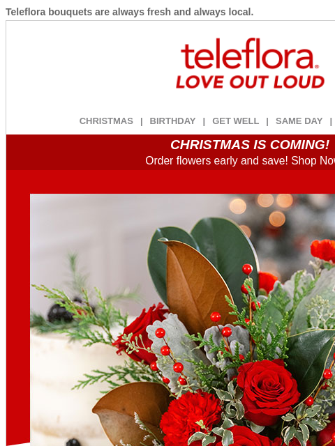 teleflora newsletter: Start the Celebrations + 25% Off 🥳