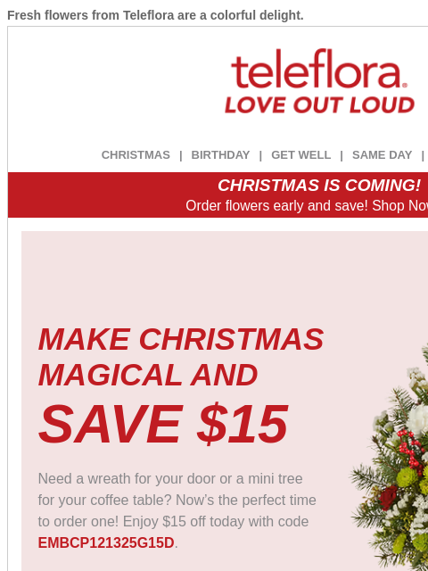 teleflora newsletter: Make Christmas Magical 🎅 $15 Off Now