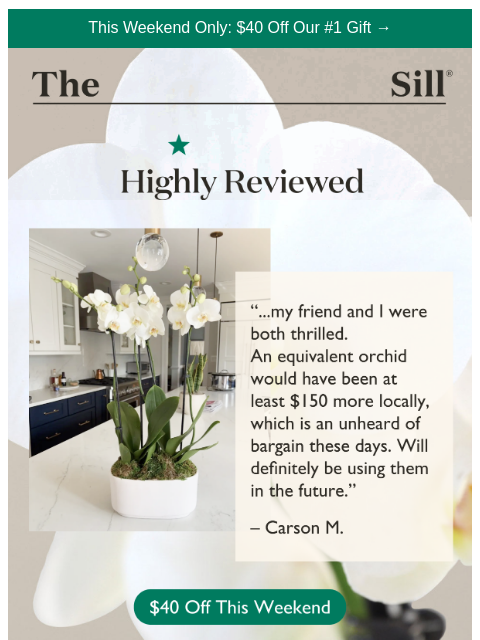 thesill newsletter: Can't be there IRL? Send this 💚 ($40 off this wee...