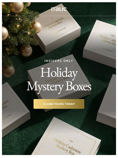 italic newsletter: Mystery Box is Back: Today Only!