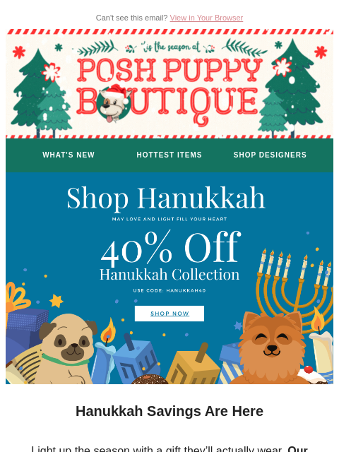 poshpuppyboutique newsletter: Hanukkah Sale ✨ 40% OFF Starts Now