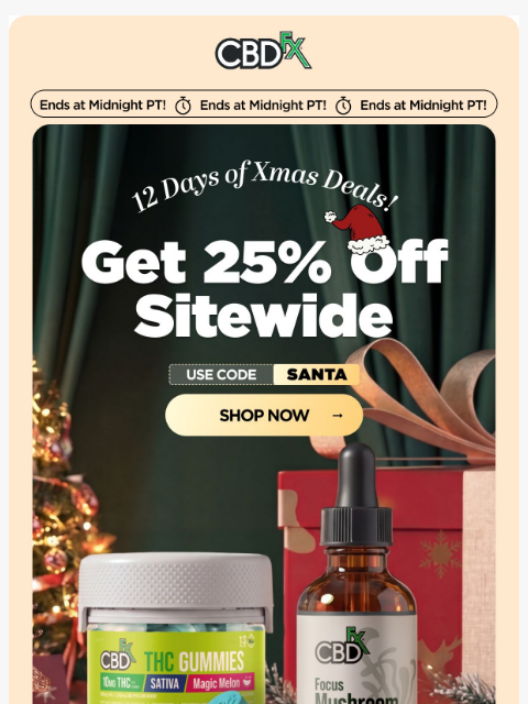 cbdfx newsletter: ❄️ Last chance to get 25% OFF all CBD & THC! ❄️