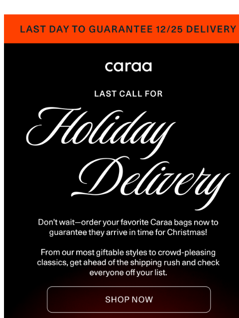 caraa newsletter: Last Call for Holiday Shipping 🎁