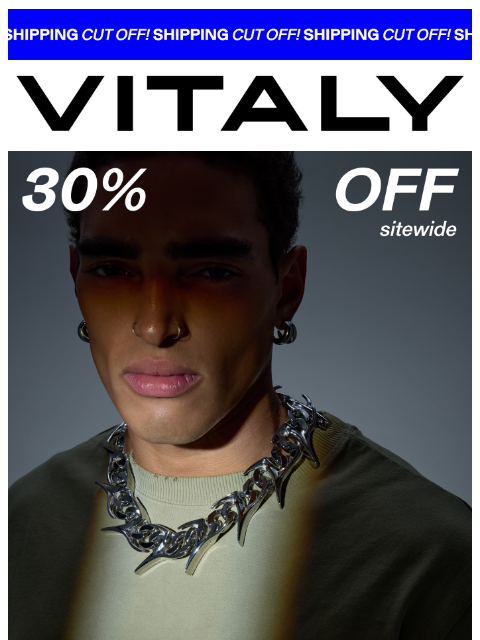 vitalydesign newsletter: HOLIDAY SHIPPING CUT OFF LAST CALL