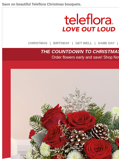 teleflora newsletter: Use your [$15.19] Credit on Holiday Flowers 🎁