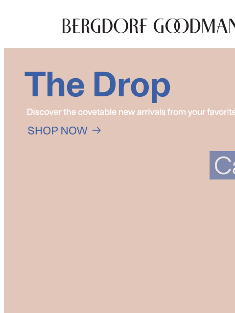 bergdorfgoodman newsletter: The Drop: New Arrivals Just Landed