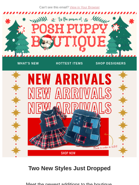 poshpuppyboutique newsletter: New Arrivals You’ll Want This Winter ❄️