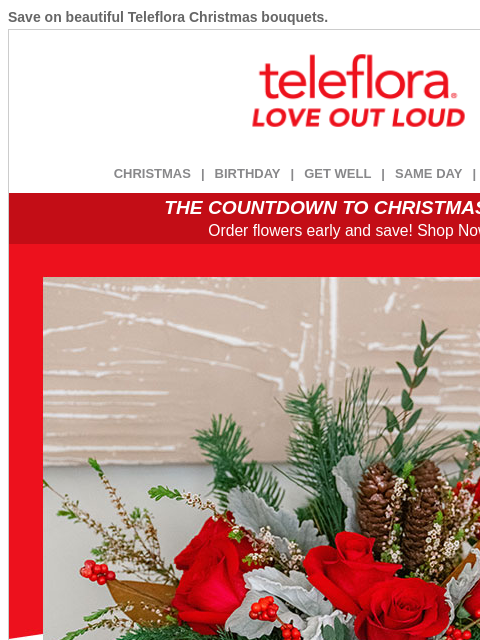 teleflora newsletter: LAST CHANCE! Use Your [$15.19] Credit for Christma...