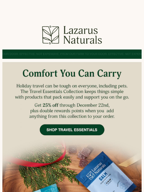lazarusnaturals newsletter: ✈️ Travel Essentials, 25% Off