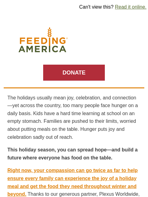 feedingamerica newsletter: Double your impact during our Annual Holiday Drive