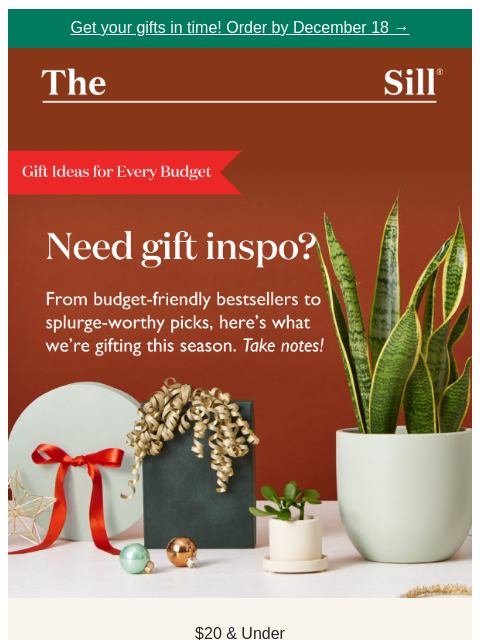 thesill newsletter: 🌟 Order today for holiday delivery! 🌟