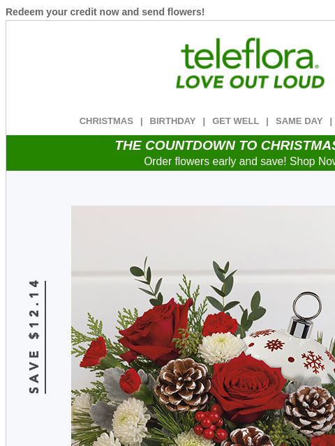 Redeem your credit now and send flowers! View in browser ‌ teleflora CHRISTMAS | BIRTHDAY | GET WELL | SAME DAY | DEAL OF THE DAY THE COUNTDOWN TO CHRISTMAS IS ON! Order flowers early and save! Shop