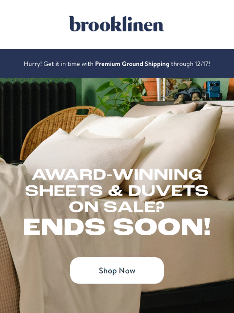 Don't miss out on an award-winning bed for less! ͏ ͏ ͏ ͏ ͏ ͏ ͏ ͏ ͏ ͏ ͏ ͏ ͏ ͏ ͏ ͏ ͏ ͏ ͏ ͏ ͏ ͏ ͏ ͏ ͏ ͏ ͏ ͏ ͏ ͏ ͏ ͏ ͏ ͏ ͏ ͏ ͏ ͏ ͏ ͏ ͏ ͏ ͏ ͏ ͏ ͏ ͏ ͏ ͏ ͏ ͏ ͏ ͏ ͏ ͏ ͏ ͏ ͏ ͏ ͏ ͏ ͏ ͏ ͏ ͏ ͏ ͏ ͏ ͏ ͏ ͏ ͏ ͏ ͏