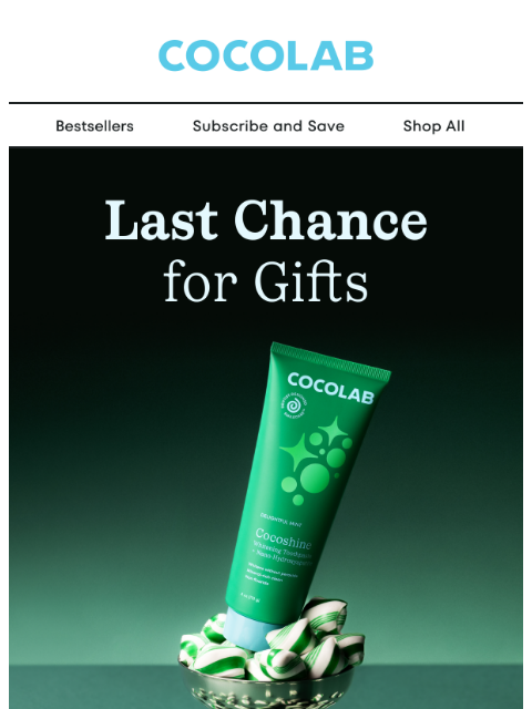 cocolab newsletter: NEVER TOO LATE