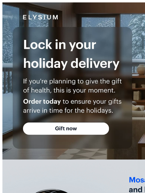 elysiumhealth newsletter: Last call for delivery before the holidays 🎁