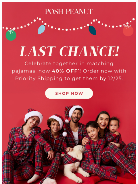 poshpeanut newsletter: Last Chance to Match 🎄✨