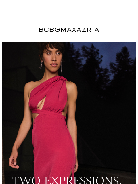 bcbg newsletter: The Final Look of the Year