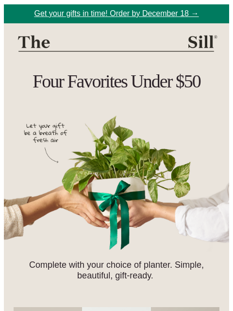thesill newsletter: ✨ Top 4 Gifts Under $50 ✨
