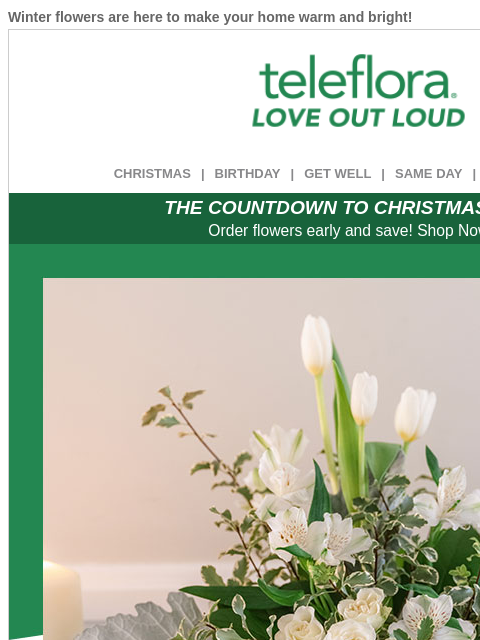 teleflora newsletter: 25% Off ❄️ Welcome Winter Flowers
