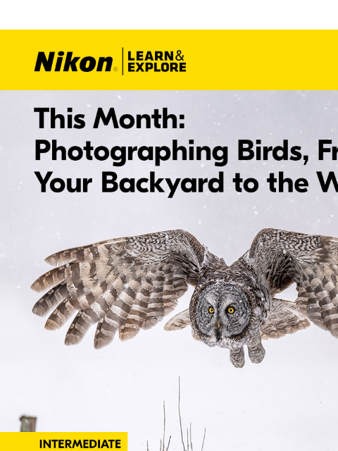 Take great images of birds as close as your backyard View as web page Nikon Learn and Explore | This Month: Photographing Birds, From Your Backyard to the Wild A Great Grey Ghost Story Read More The