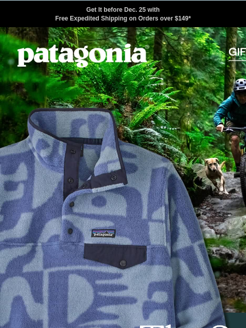 patagonia newsletter: New designs with a story to tell