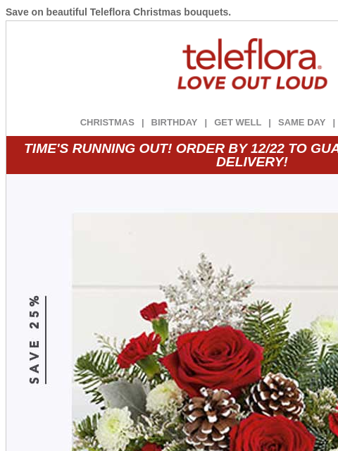 teleflora newsletter: Re: Your Christmas Order
