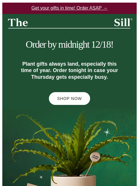thesill newsletter: Holiday Order Deadline Is Tomorrow 🎄