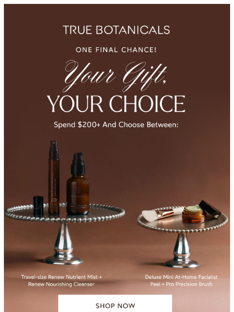 truebotanicals newsletter: New Gift Options Are Here!