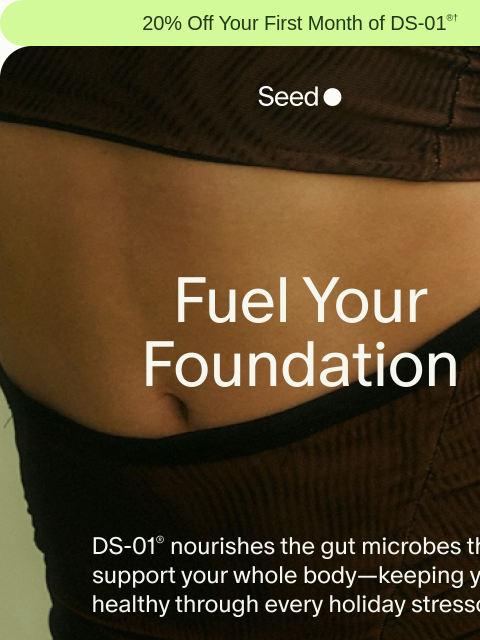 seed newsletter: Whole body health for the holidays.