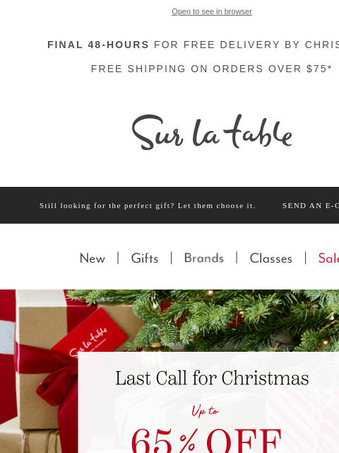 surlatable newsletter: 🔌Last-Minute (great) Gifts: KitchenAid, Vitamix &...