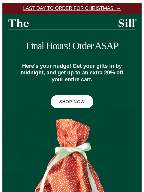 thesill newsletter: ORDER BY MIDNIGHT 🎄💫