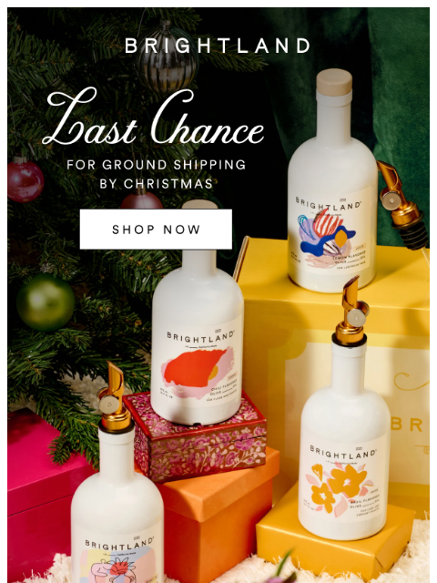 brightland newsletter: 🎁 LAST DAY FOR CHRISTMAS DELIVERY!