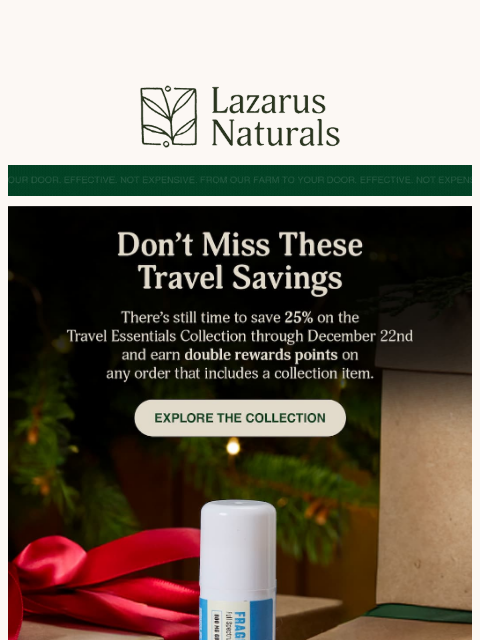 lazarusnaturals newsletter: 🚀 Make Travel Easy: Check This Out!