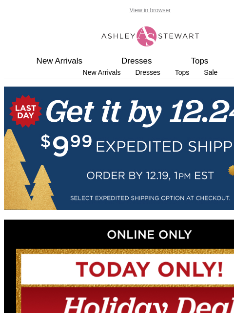 ashleystewart newsletter: TODAY ONLY⏳ 60% off SWEATERS + OUTERWEAR