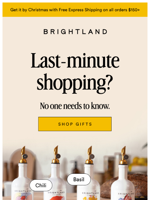 brightland newsletter: Still looking for the perfect gift?