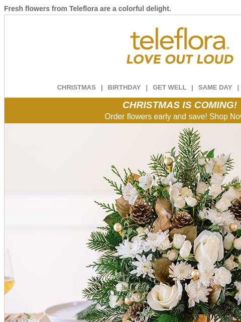 teleflora newsletter: 20% Off | Have a Holly Jolly Christmas 🎄🎅