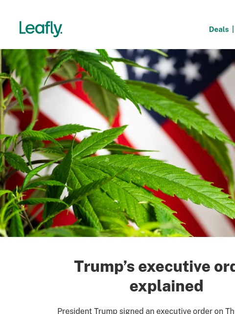leafly newsletter: 🚨 Cannabis rescheduling just sped up