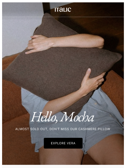 italic newsletter: Almost Sold Out: Vera Cashmere Pillow